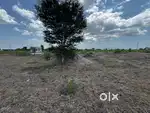 Cracker shop land with approval