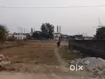 Plot 253 gaj bhalla farm