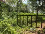 Moolamattom 12.5 acre for sale ₹ 21k per cent