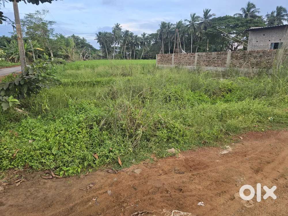 Gharabadi plot sell at gudiapokhari
