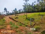 40-Cent ScenicHomestay land for sale in Thomaattuchal, Wayanad