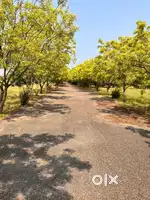 Collective Farming at NANDHAVANAM