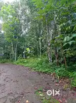 90 cent land for sale near kadayanikadu chammapathal road