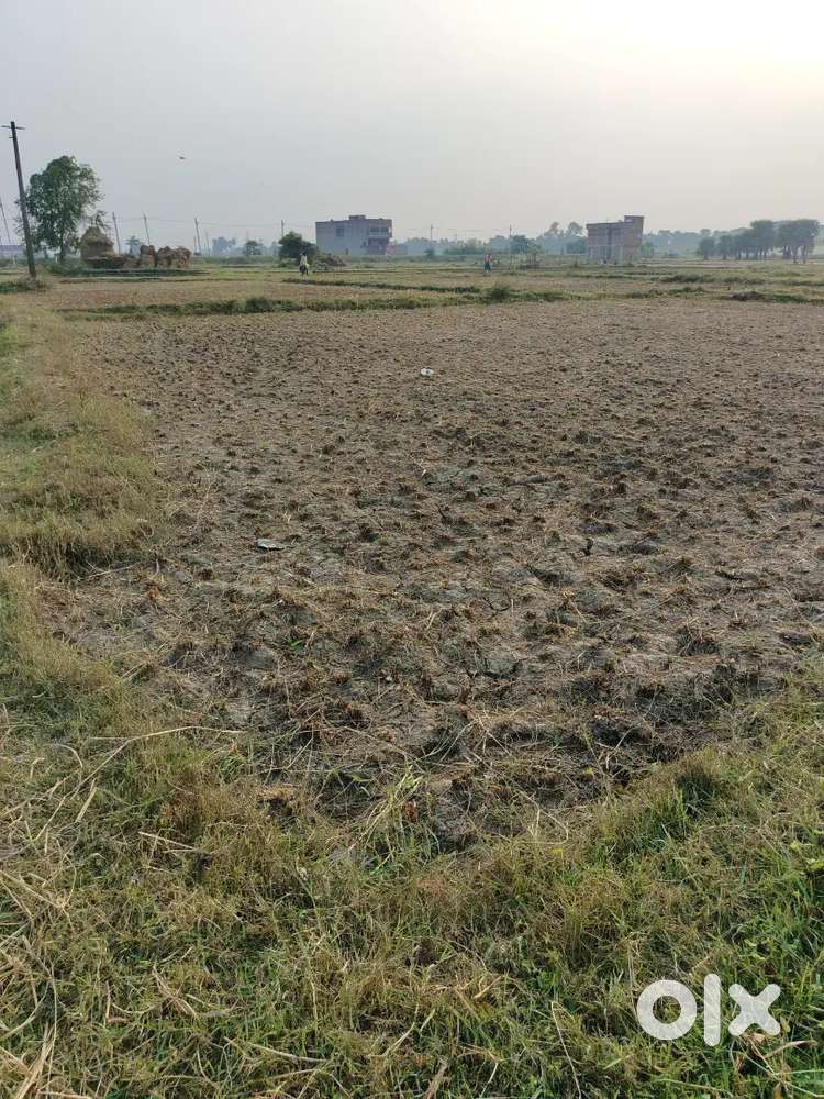 Biharsharif Navinagar m jamin sell karna ha