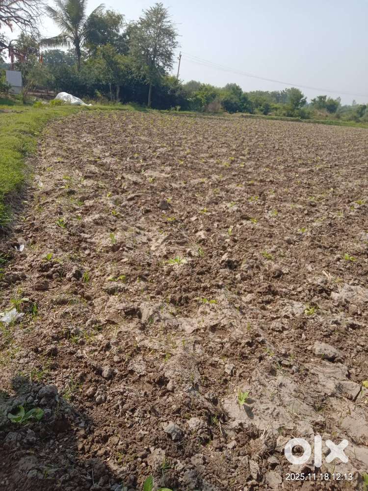 Sell Jamin. Petlad.  Di.. Ma