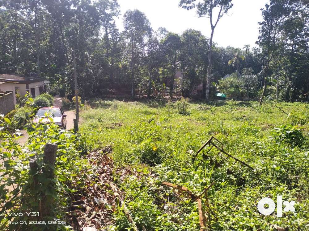 78 cent of land for sale at Manarcad, Kottayam