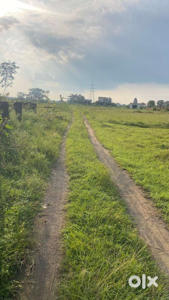 Near Kendriya vidyalay