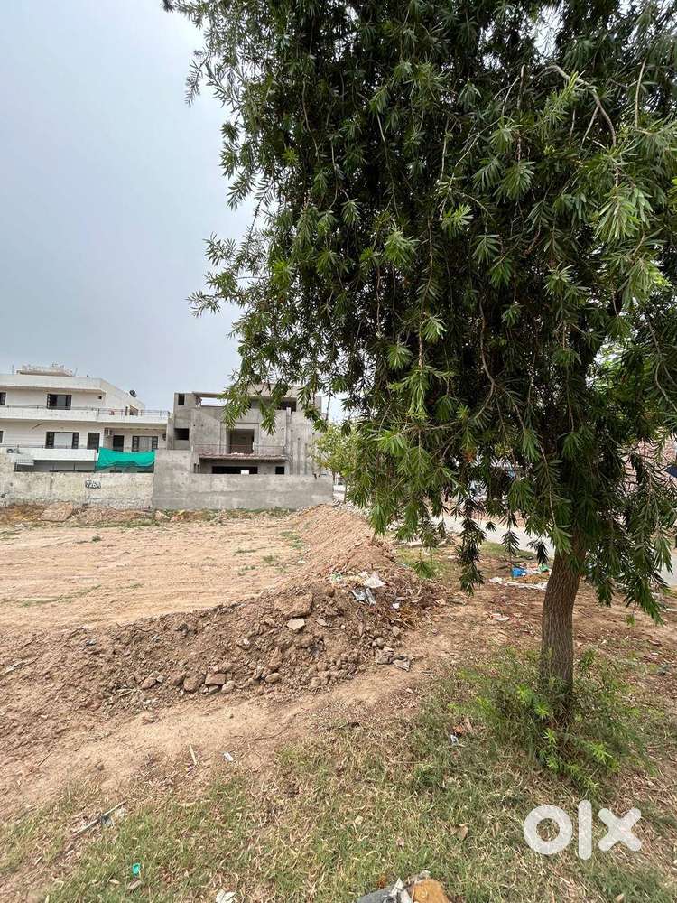 Tdi City Plot 350 Yard North Facing Sector 118 Mohali