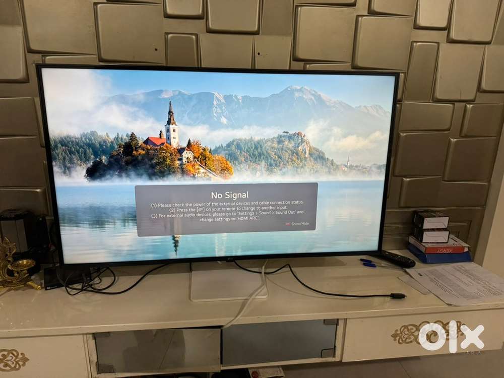 LG TV Monitor