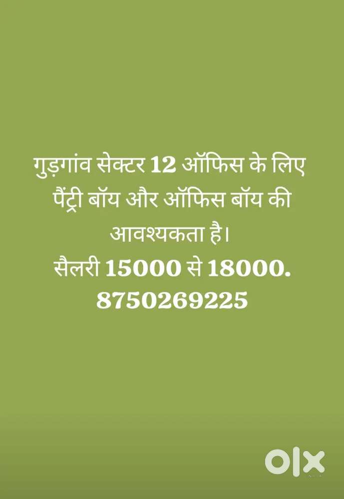 गुड़गांव सेक्टर 12 ऑफिस में पैंट्री बॉय और ऑफिस बॉय की जरूरत है