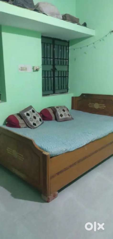 1 Room only not kitchen single Room  ( Washroom common Available)
