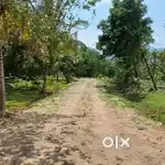 FARM LAND FOR SALE ( BUY 1 GET 1 OFFER )