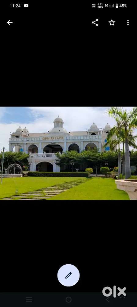 Im Chinese and biryani and shawarma master