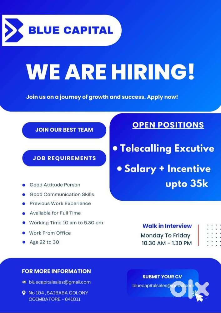 TELECALLER EXECUTIVE