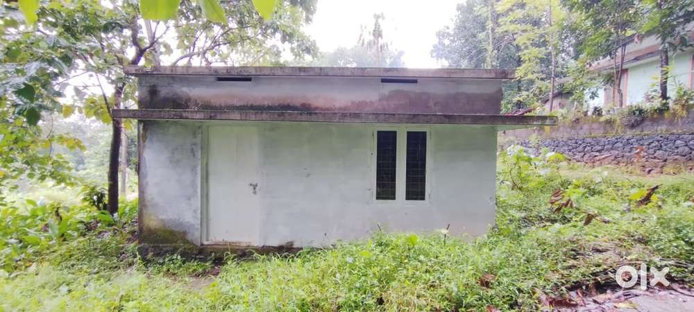 House for sale near viswajyothi rajagiri clg vengoor kurppumpady