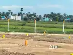 1200 SQFT APPROVED PLOT FOR SALE VELACHERY NEAR PALLIKARANAI