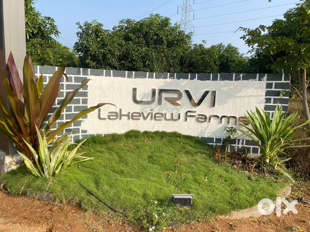 Lakeview, mango and red sandalwood trees included with plots.