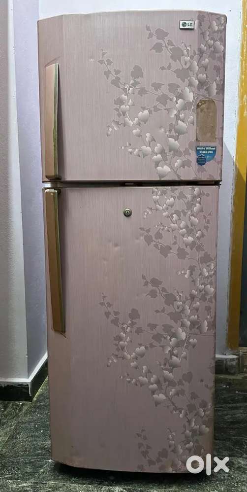 Double Door: Freezer OK, Low Cooling. Needs GaskLGet/Seal Repair.