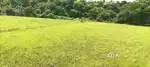 Approx 2 Bigha Agricultural Land for Sale near Banjemari Colliery