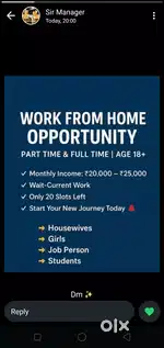 Work from Home Online work Offline work