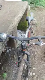 Cycle original hai