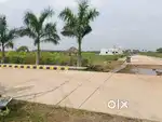 Low Budget Plots