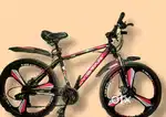 Tanmei Sport Power Bike