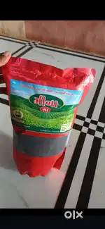Mina kadak cha