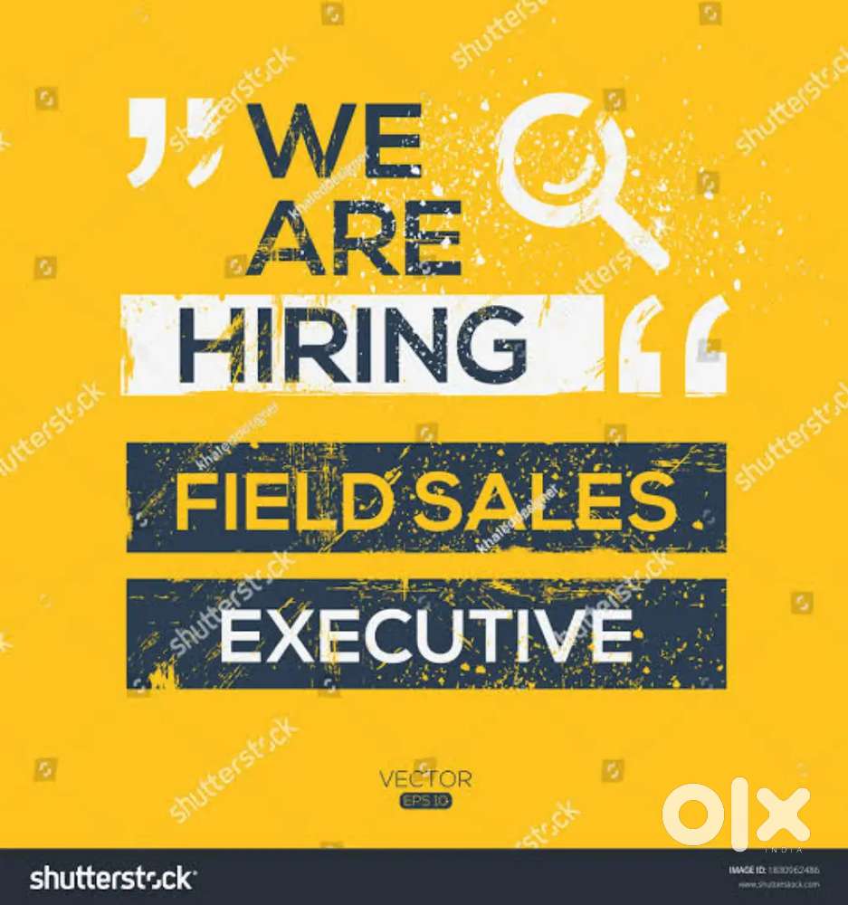 Sales Executive