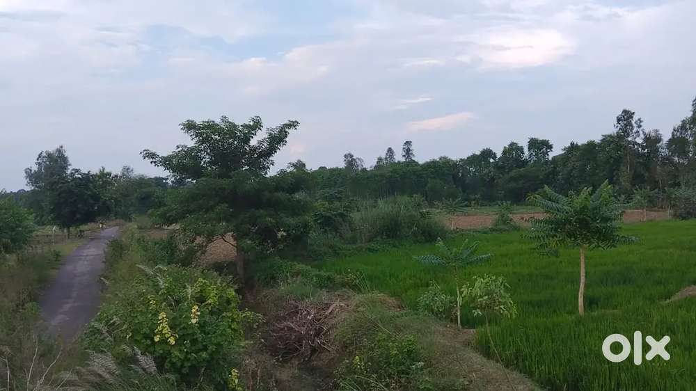 गोदाम के लिए कमर्शियल जमीन खरीदे बिल्कुल नेशनल हाईवे से लगा हैं