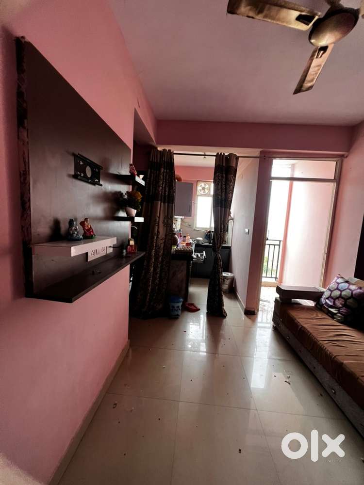 Fridge sofa, LCD panel complete fully furniture