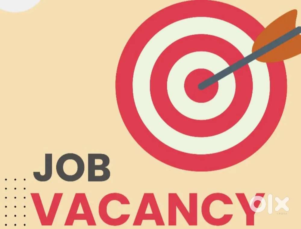 Accountant (Tally Experience Required)