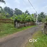 ആനക്കല്ലിൽ 4 സെൻ്റ്