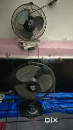 Table fan (Remi)