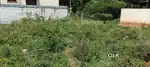 DTCP Approved plot