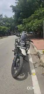 Himalayan 450 Casa Brown |Jan 2024/ ₹20K Accessories | ₹3.2L Only