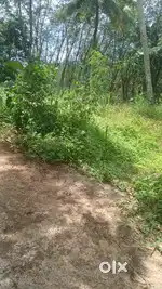 Alamcode high schoolinaduth 5 cent vasthu vilpanakk