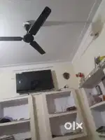 Need a partner for room share i have all furniture   kitchan