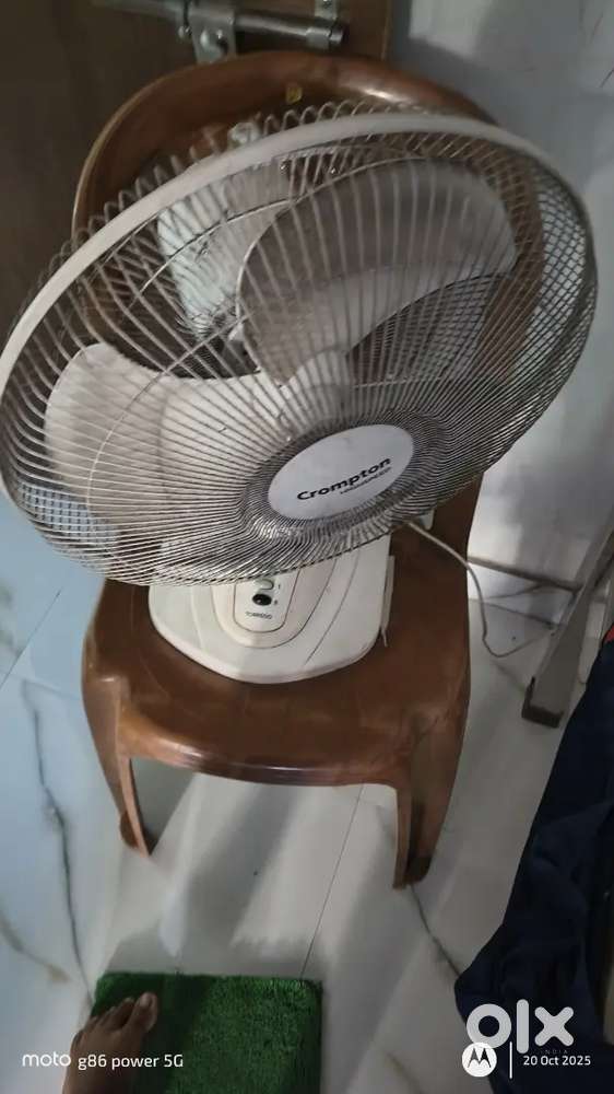 Fan & kids cycle combo
