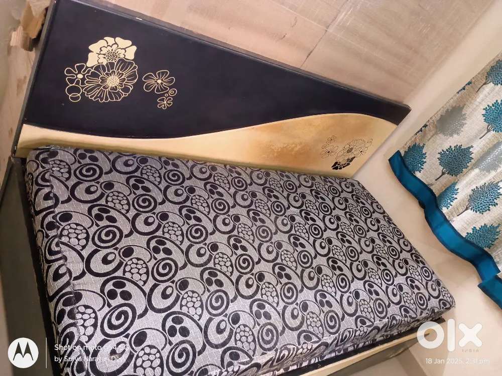 Sofa Cum Bed