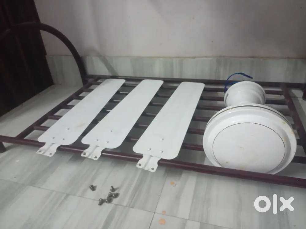 Celling fan only 6 month old