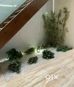 Green area (plants and white stones )