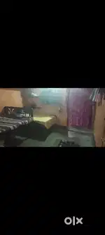 Sale home mango