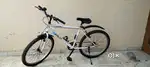 Sungold bicycle
