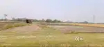 Investment Plot - Near Gulhariya Bazar - 700 Mts.  From Medical Road