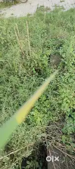 near by meerut South station