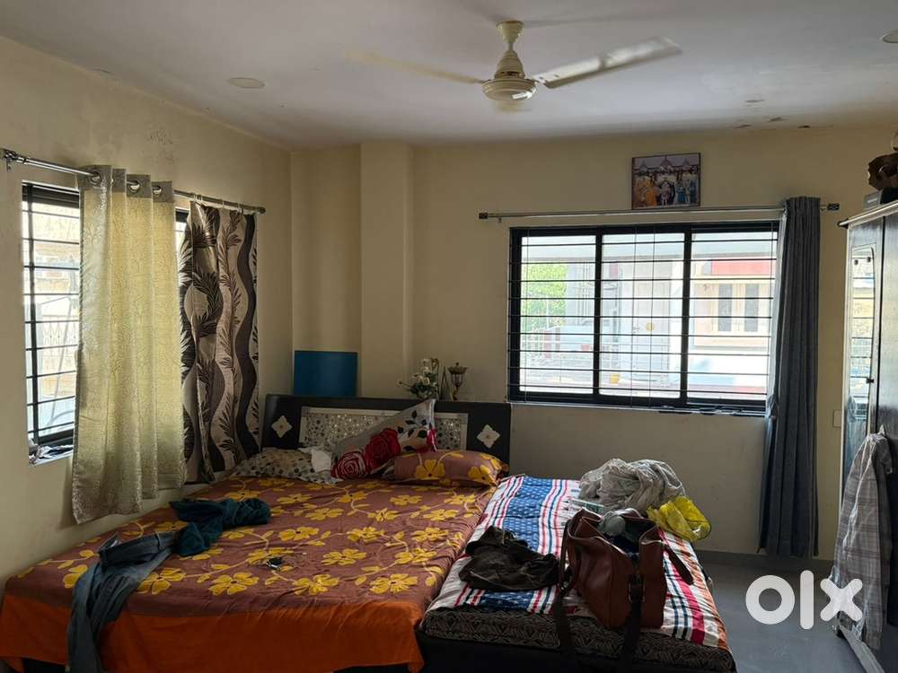 Need 1 gentle roommate