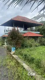 48 Cents of Home Stay / Level Farm Land with Multiple Trees