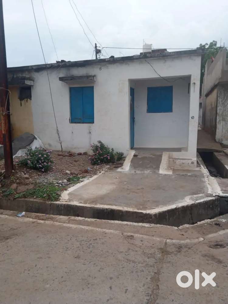 New lunch government house, ye patte wala he