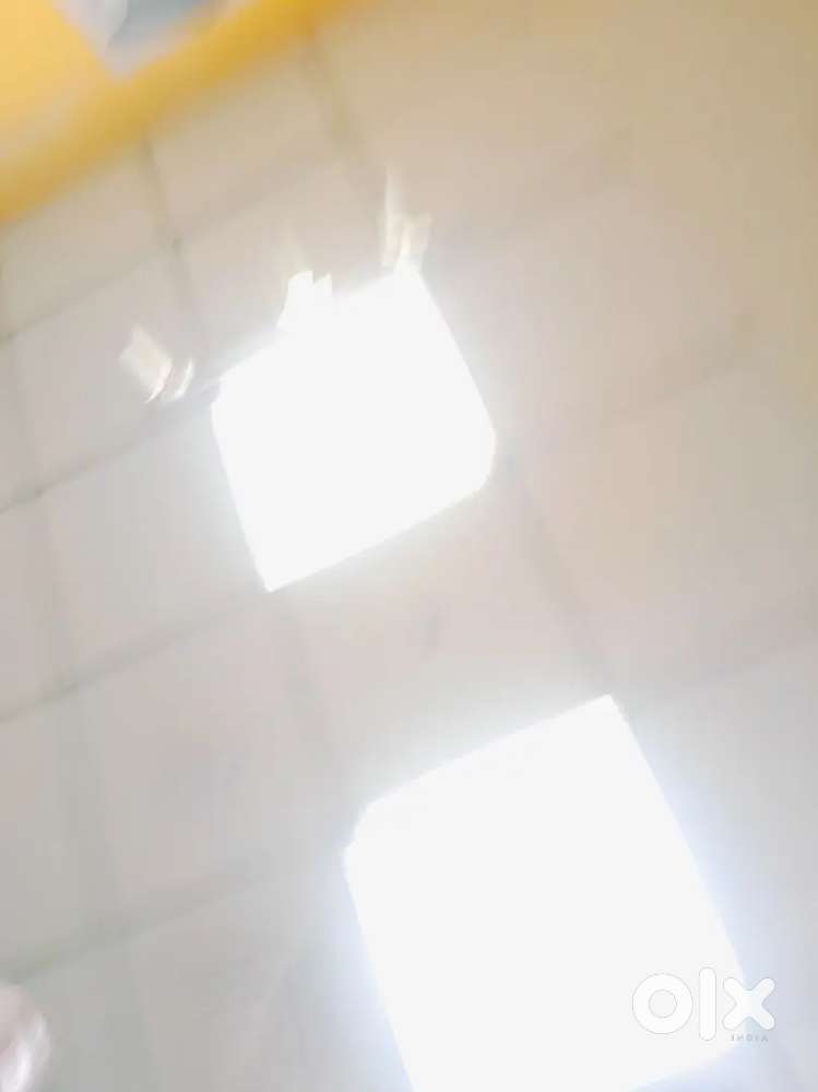 Girls roomate needed